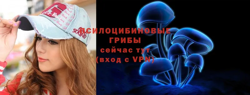 Галлюциногенные грибы ЛСД  Ветлуга 